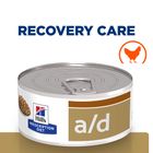 Hill's Prescription Diet a/d Urgent Care - Chicken