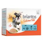 Briantos Delicious Paté 12x100g