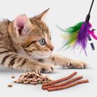 Kitten Products