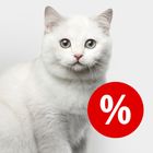 Special Offers