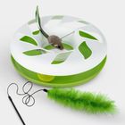 Cat Toys