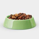 Dry Dog Food