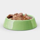 Wet Dog Food