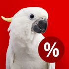 Special Offers