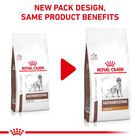 Royal Canin Veterinary Canine Gastrointestinal Low Fat